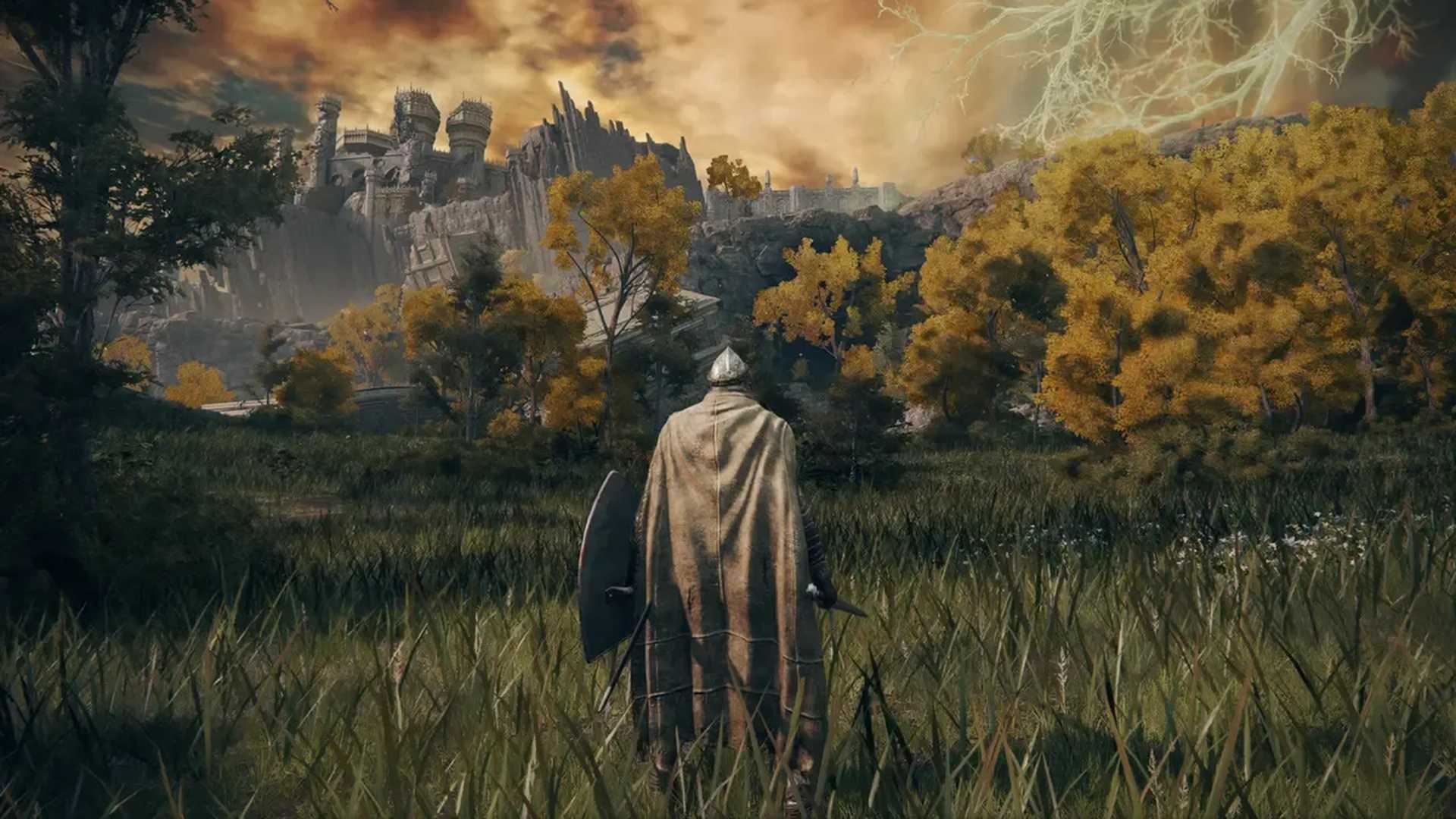 A character standing in a field in Elden Ring