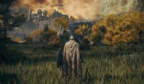 A character standing in a field in Elden Ring