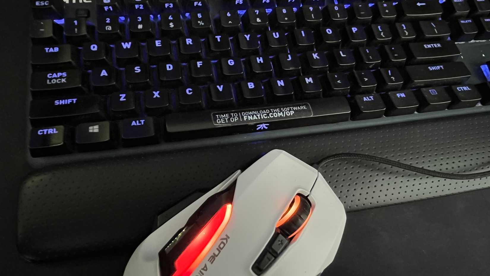 A shot of a FNATIC RGB keyboard and ROCCAT mouse.
