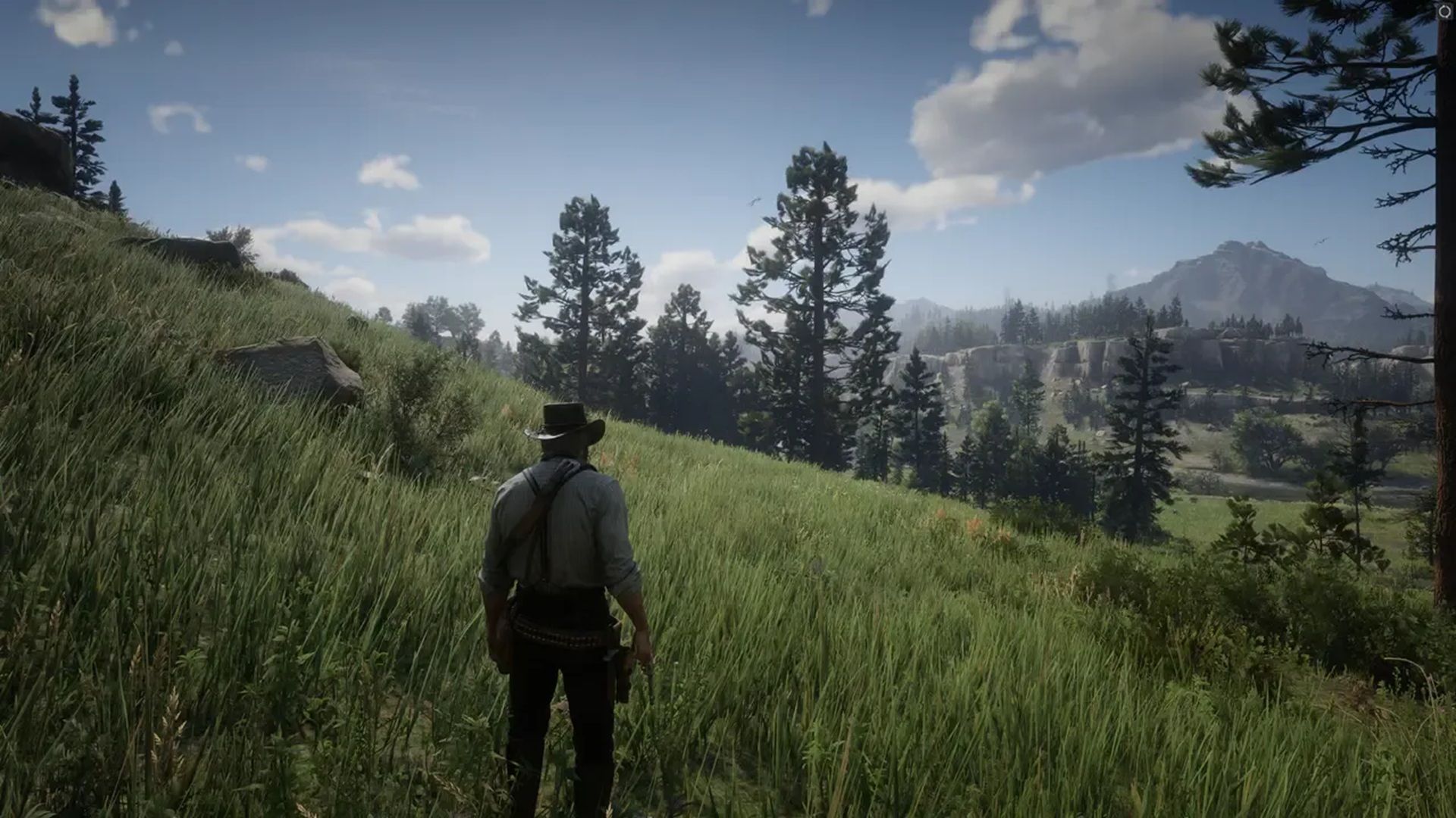 A screenshot of gameplay from Red Dead Redemption 2.