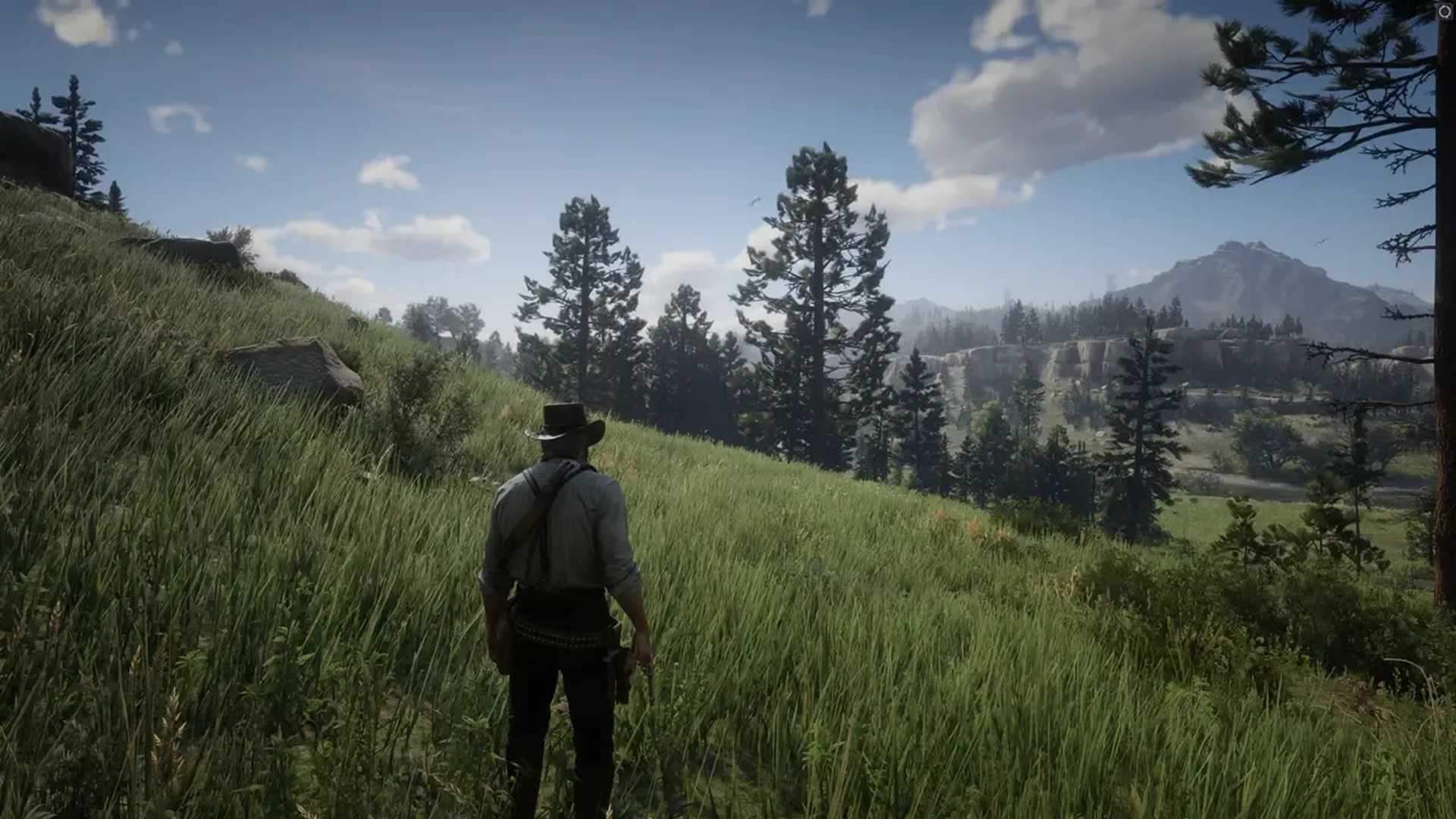 A screenshot of gameplay from Red Dead Redemption 2.