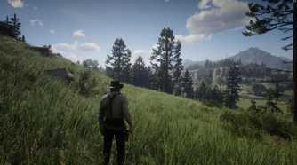 A screenshot of gameplay from Red Dead Redemption 2.