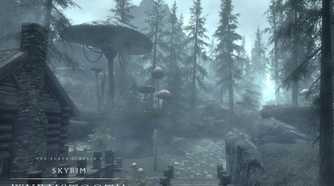 Skyrim Wyrmstooth town with mushrooms