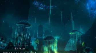 Skyrim Wyrmstooth mystic mushrooms at night