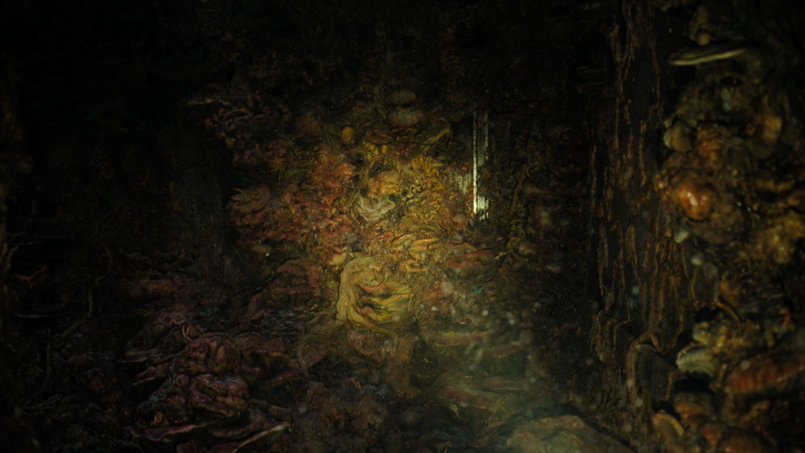 A zombie stuck to the wall, surrounded by fungus, in HBO's The Last of Us, season 2, episode 5.
