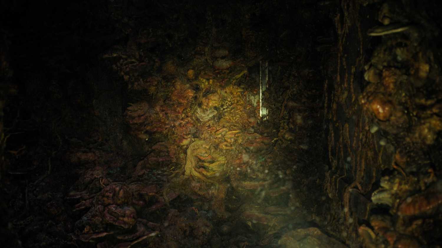 A zombie stuck to the wall, surrounded by fungus, in HBO's The Last of Us, season 2, episode 5.
