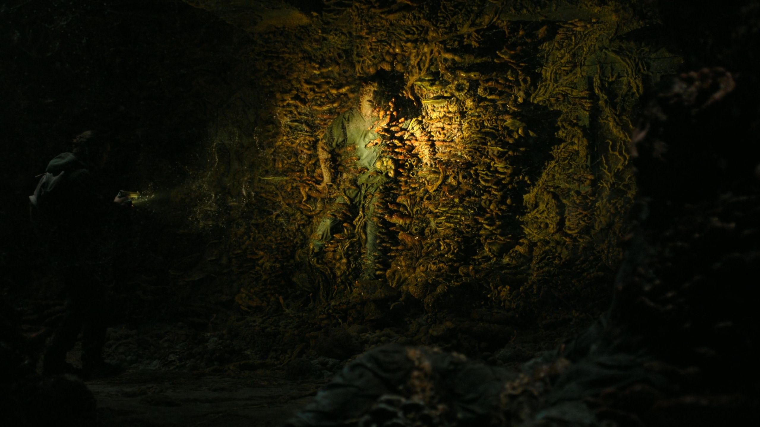 A zombie stuck to a wall in HBO's The Last of Us, season 2, episode 5.