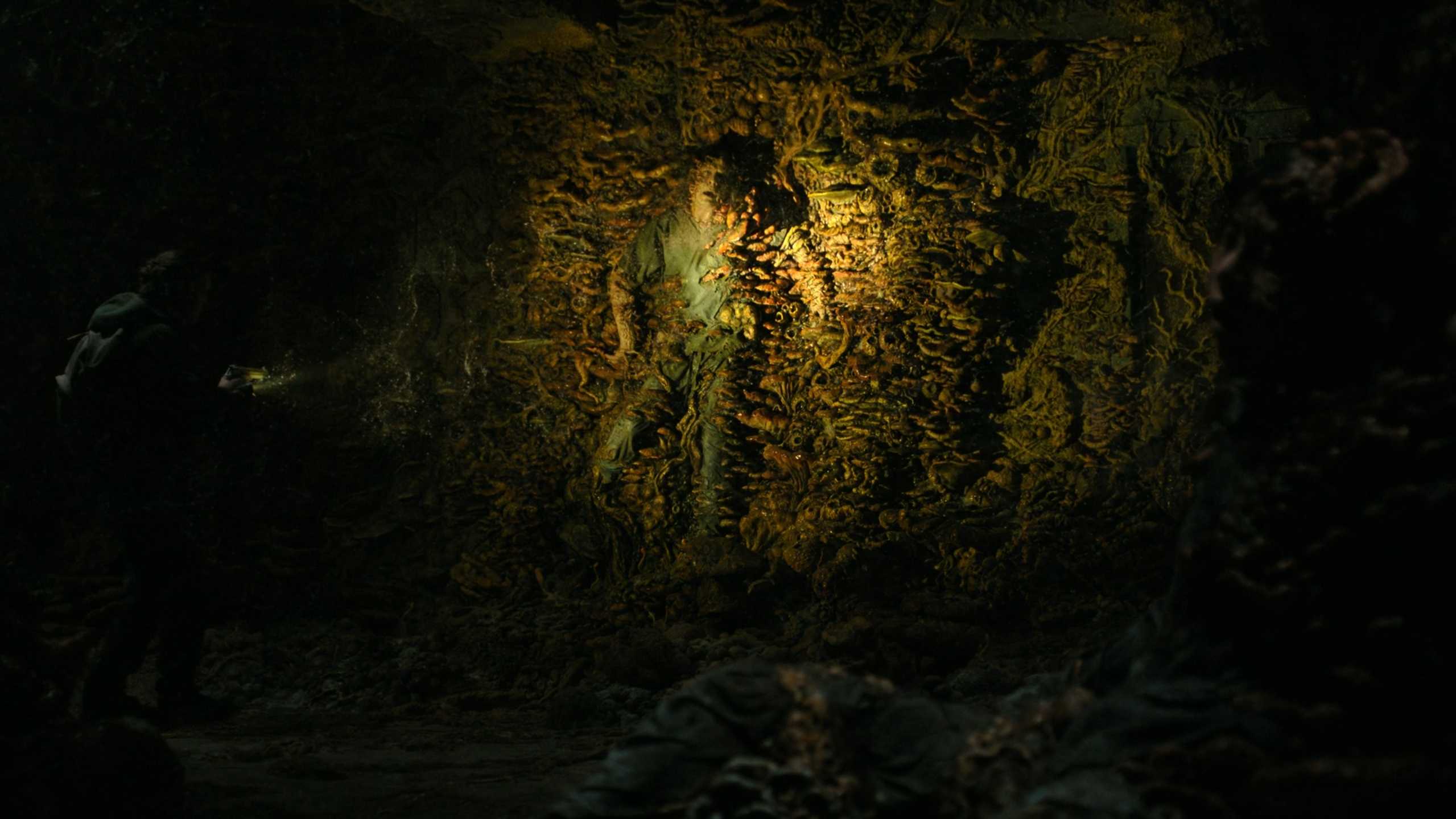 A zombie stuck to a wall in HBO's The Last of Us, season 2, episode 5.
