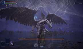 Elden ring nightreign Ancient Dragon boss fight