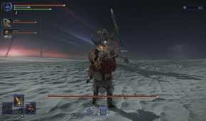 Elden ring nightreign libra boss fight