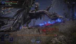 elden ring nightreign nameless king on the dragon