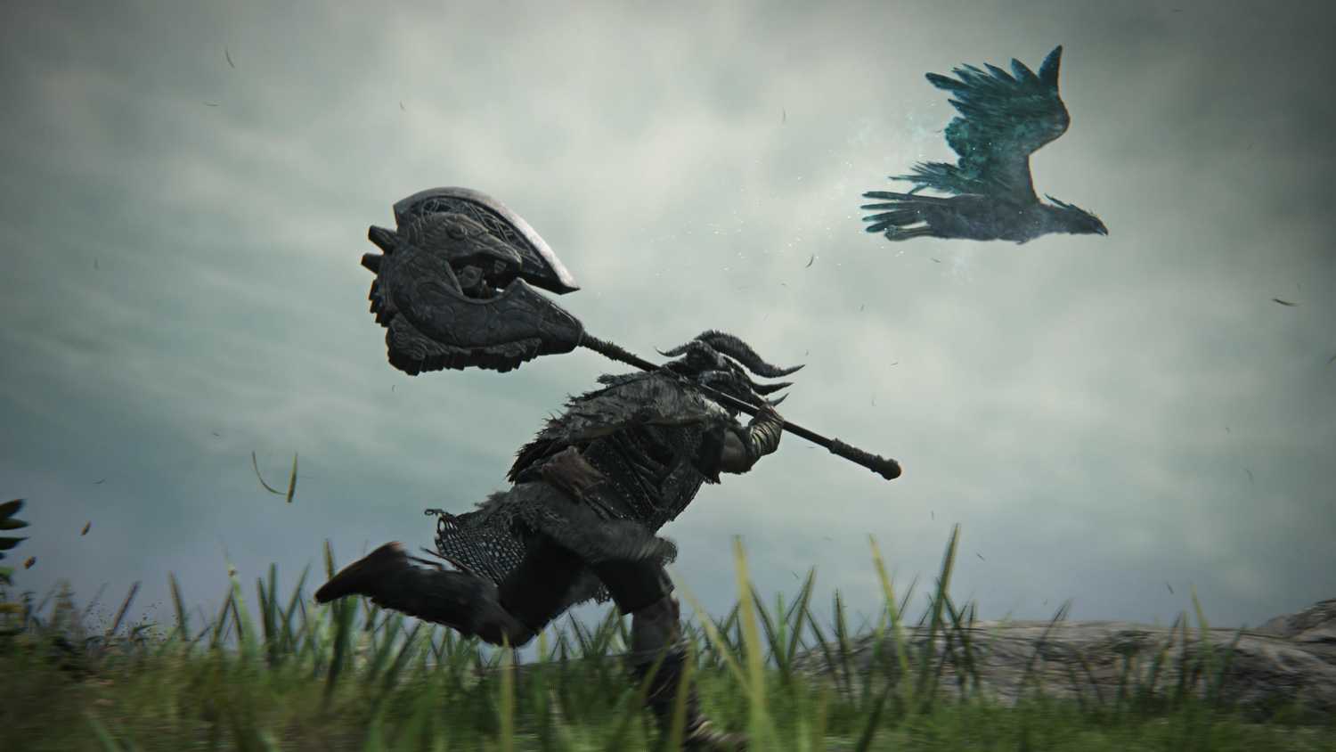 elden ring nightreign raider running