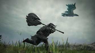 elden ring nightreign raider running