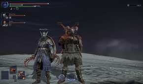 Elden ring nightreign two players posing together