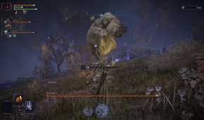 Elden ring nightreign wormface boss fight
