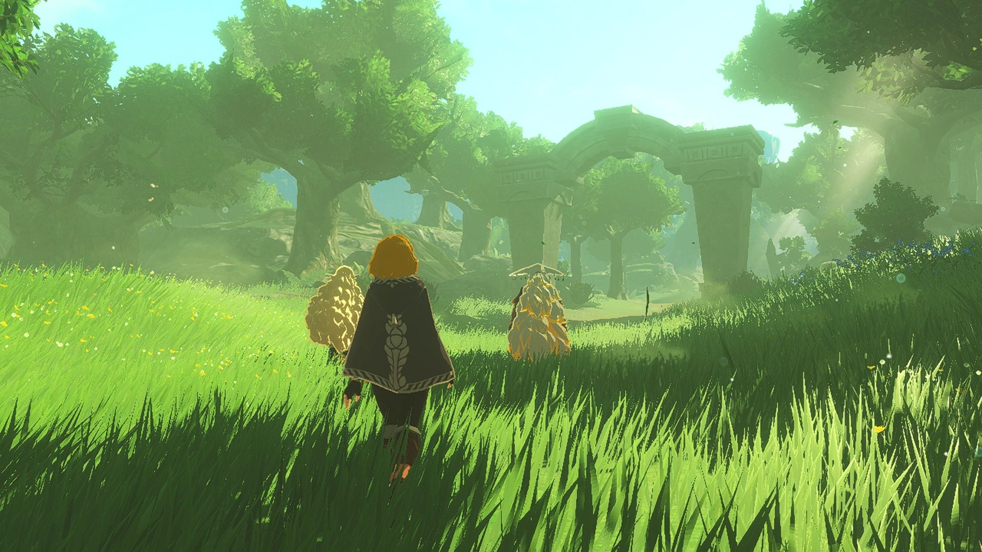 A screenshot of gameplay from Hyrule Warriors: Age of Imprisonment