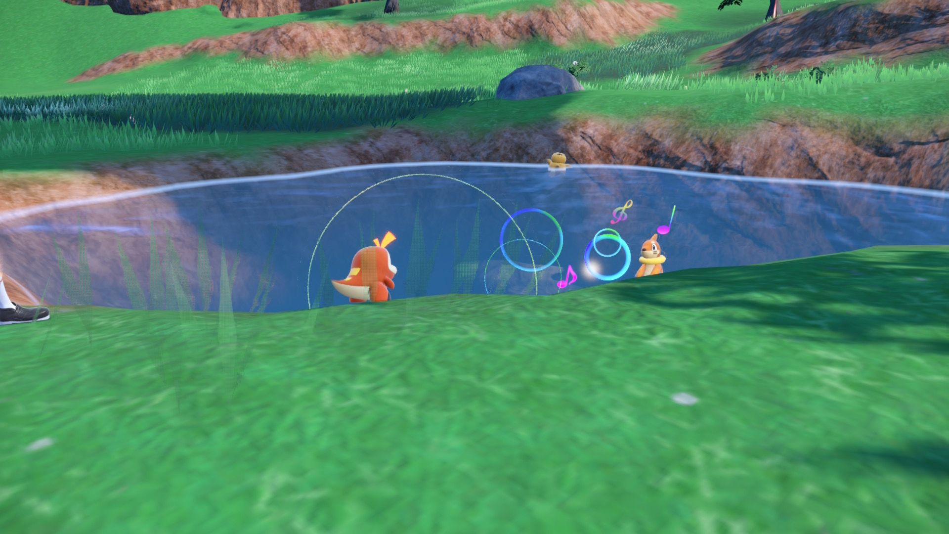 Pokémon Scarlet Fuecoco fighting a Pokémon