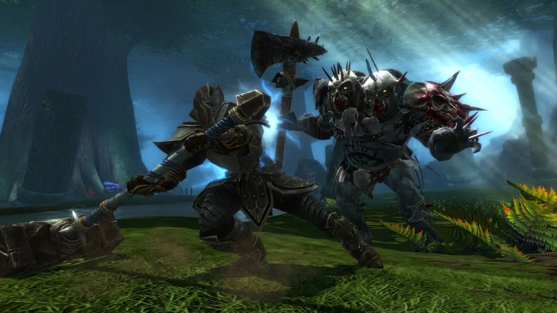 A screenshot of gameplay from Kingdoms of Amalur: Reckoning