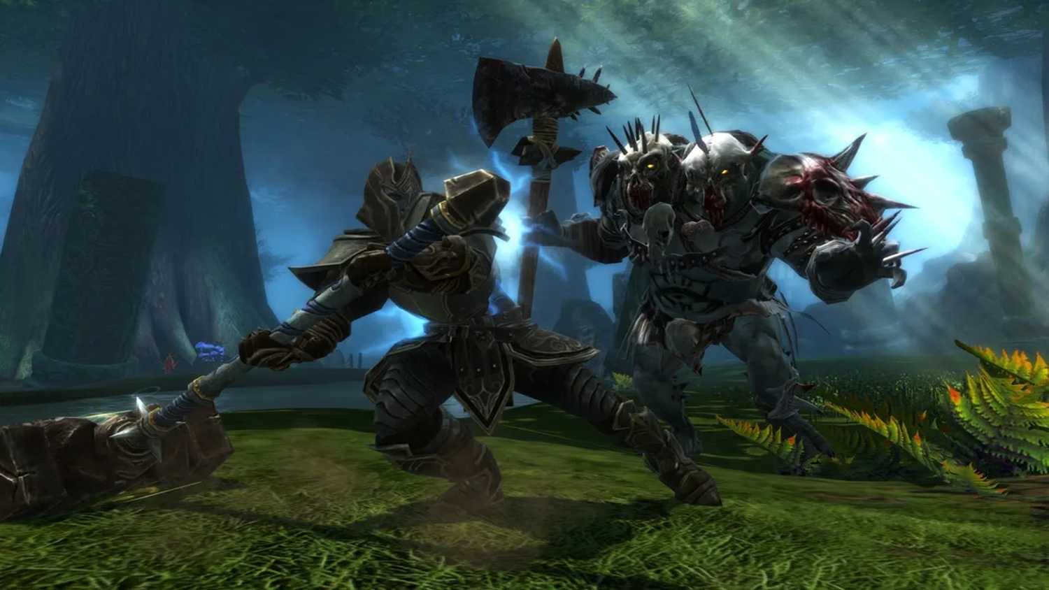 A screenshot of gameplay from Kingdoms of Amalur: Reckoning