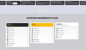 Membership plans for Playstation Plus.
