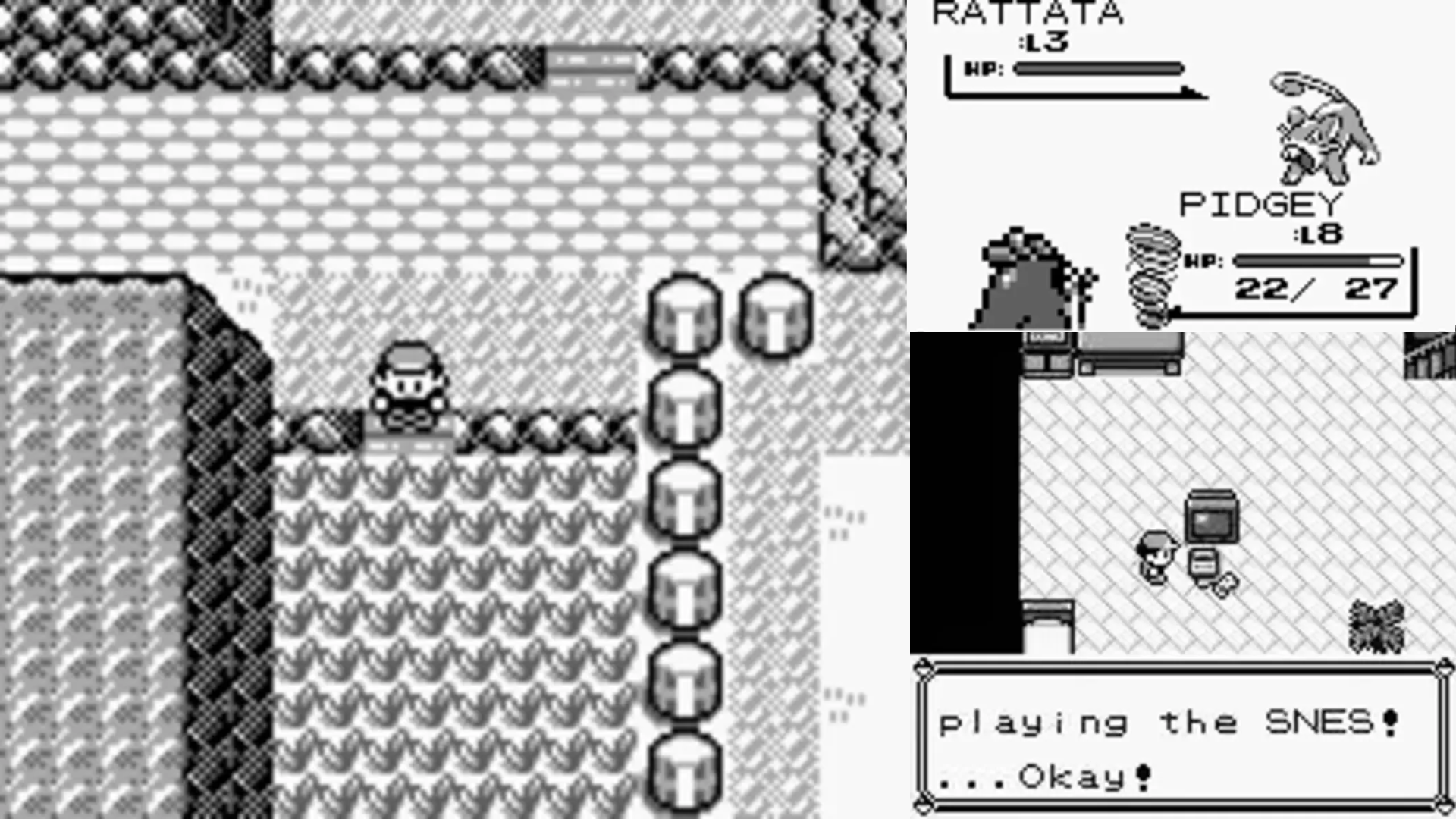 Pokémon Blue gameplay and combat 