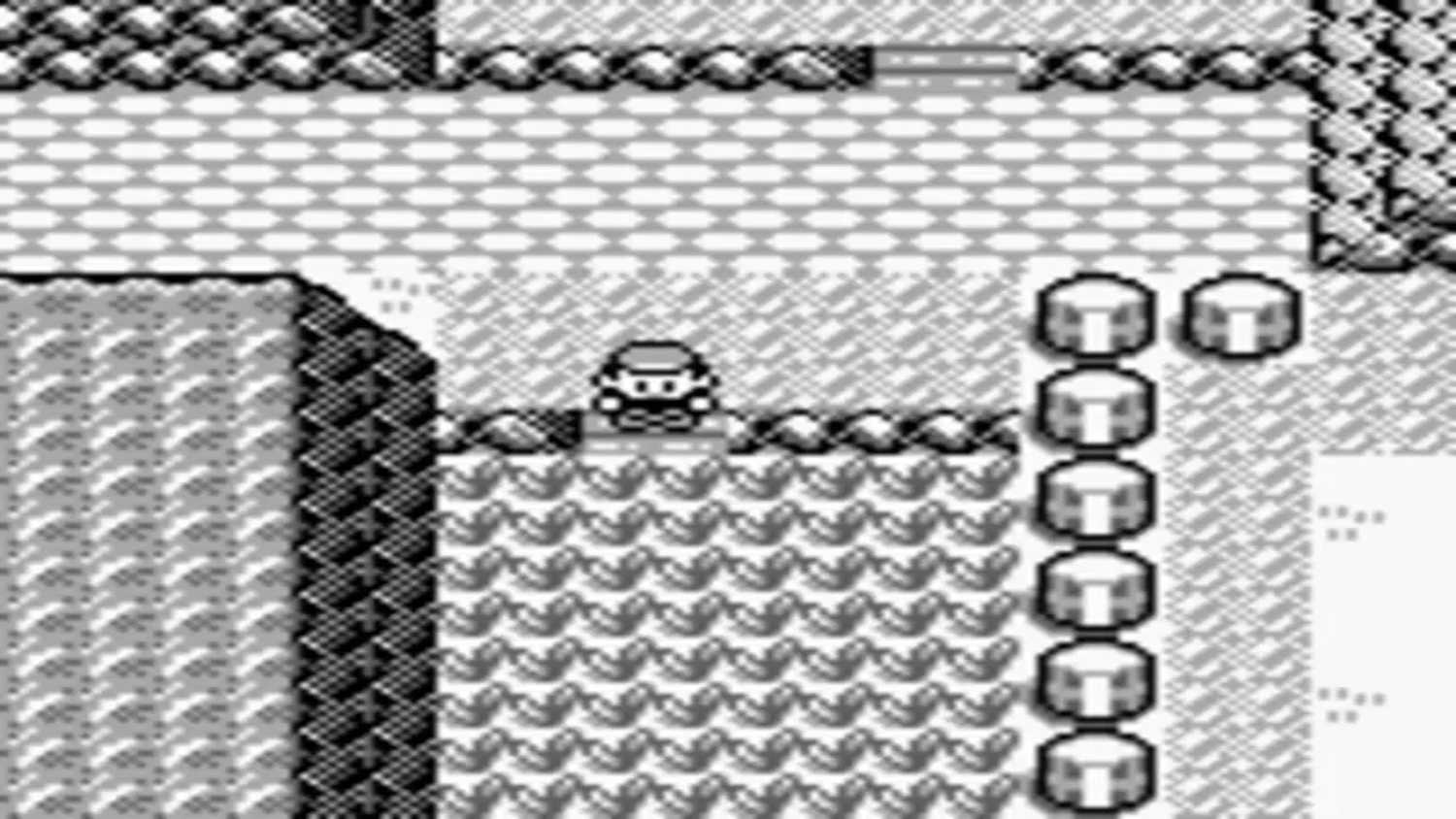 A screenshot of Pokemon Blue
