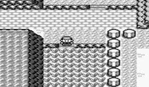 A screenshot of Pokemon Blue