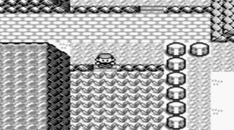A screenshot of Pokemon Blue