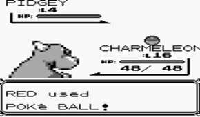 A screenshot of Pokemon Red