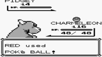 A screenshot of Pokemon Red