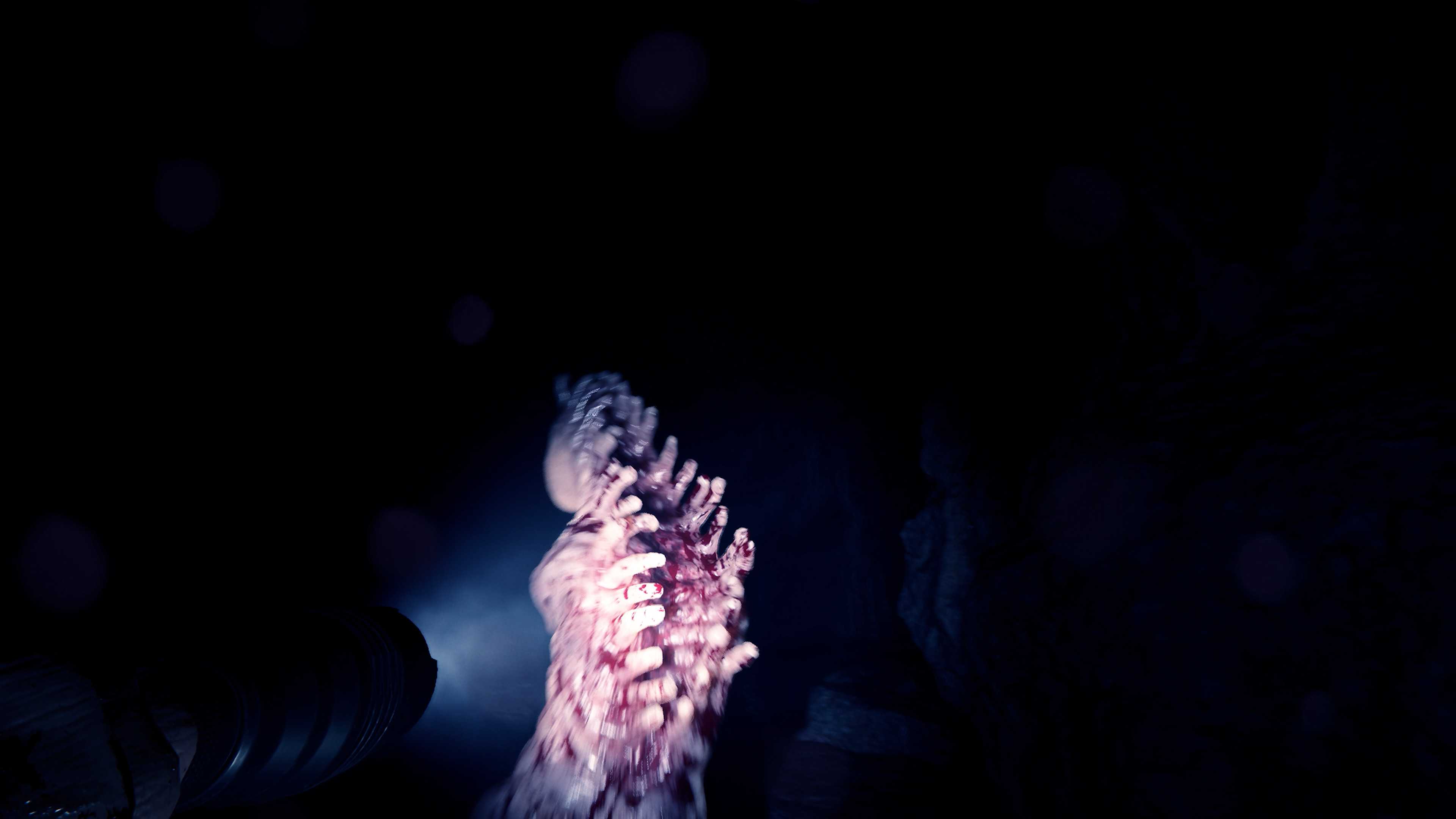 A screenshot from Sons of the Forest.