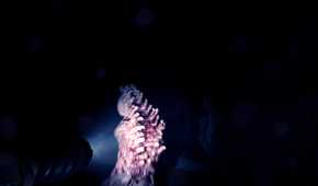 A screenshot from Sons of the Forest.
