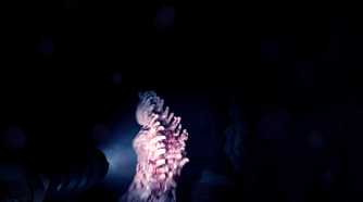 A screenshot from Sons of the Forest.