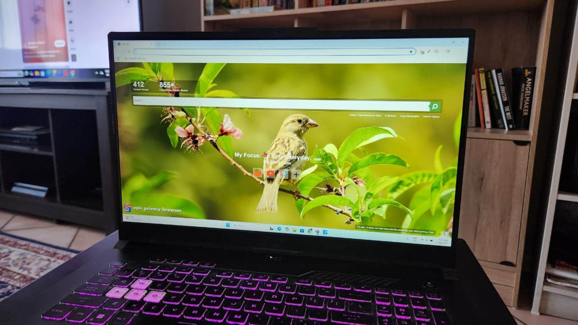 I finally found a privacy browser with better features than Firefox