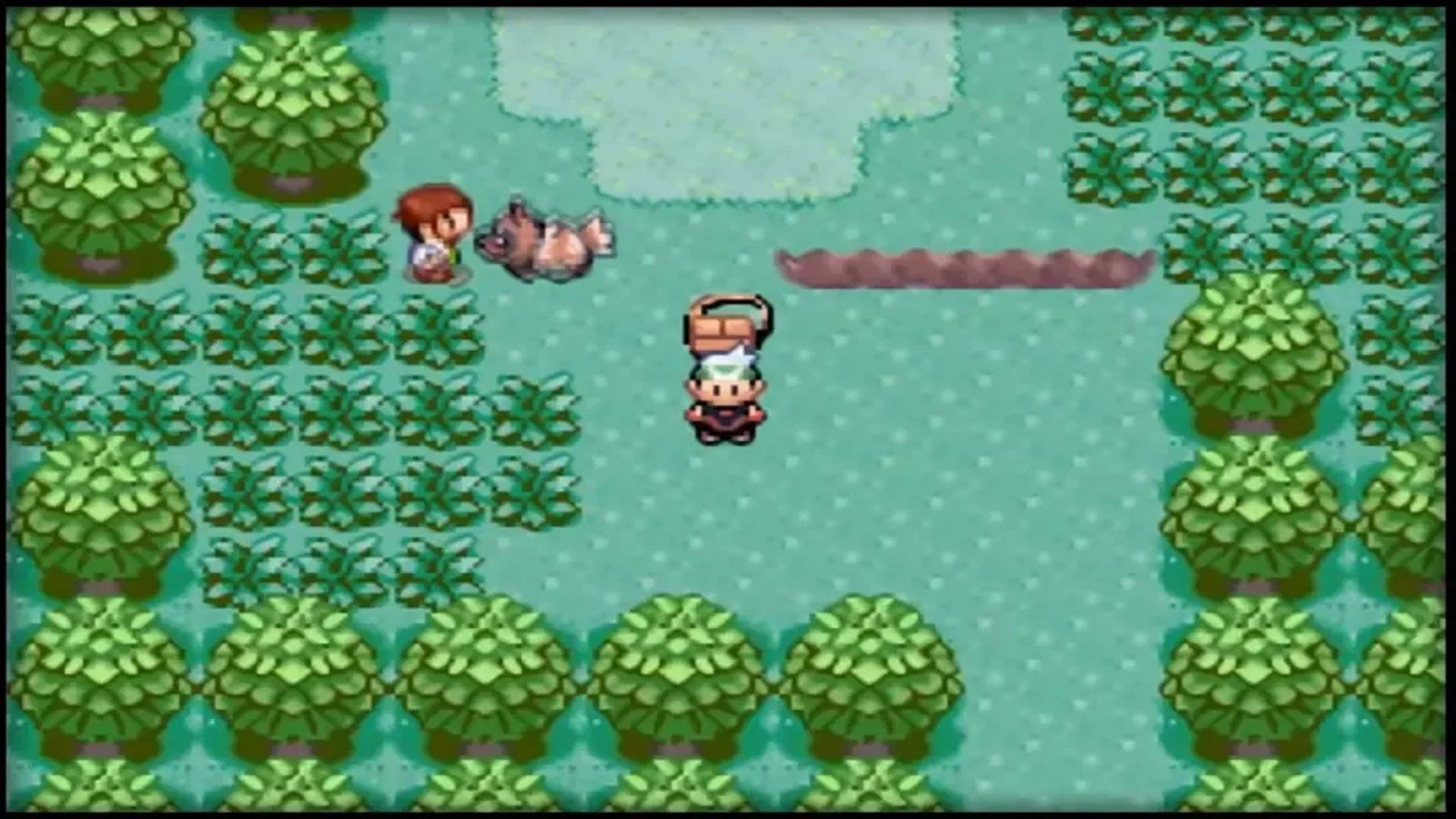 A screenshot of the player roaming the forest in Pokémon Emerald