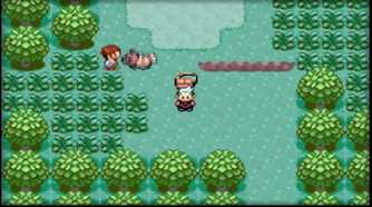 A screenshot of the player roaming the forest in Pokémon Emerald