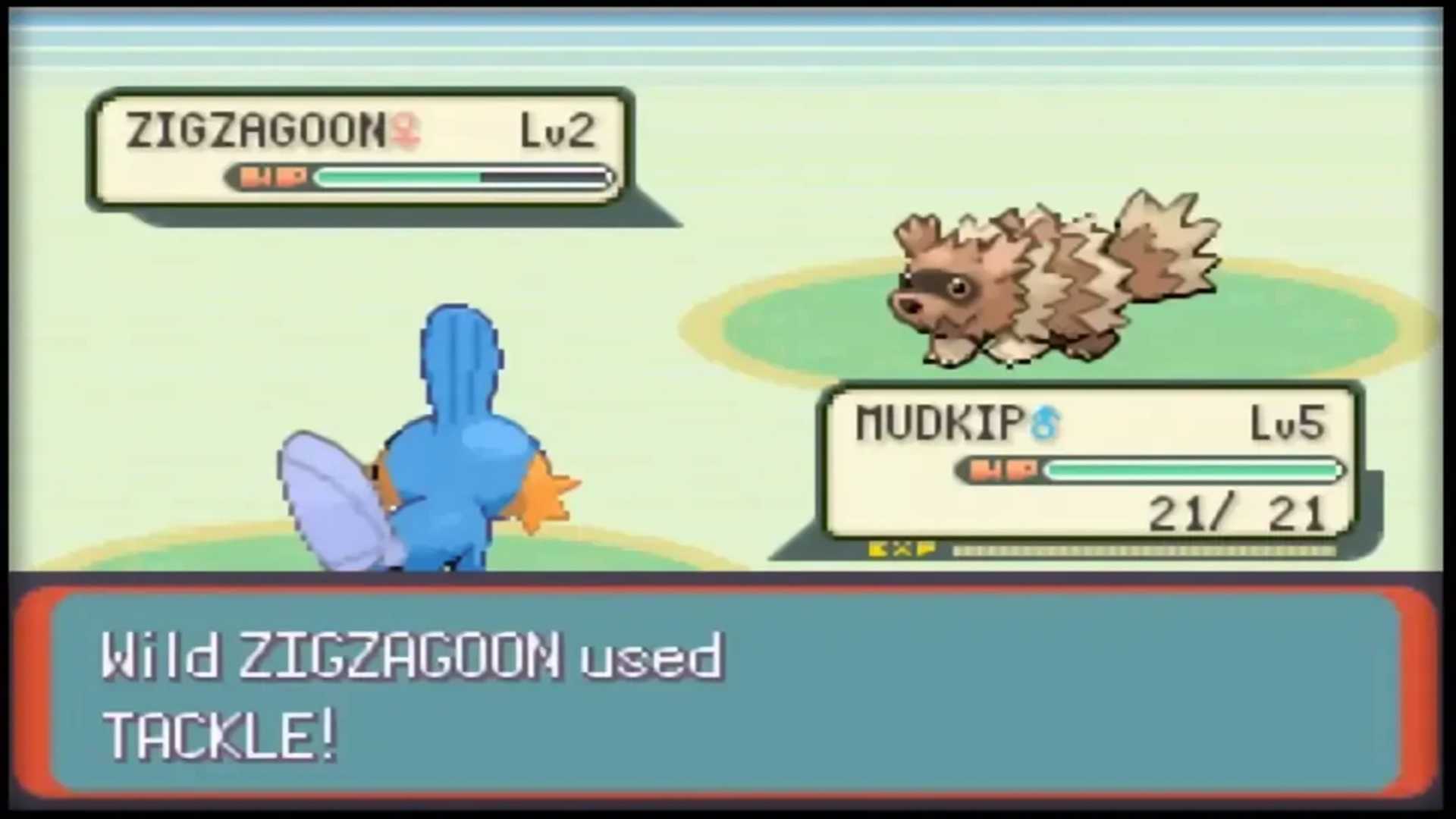 A screenshot of a battle with Mudkip and Zigzagoon in Pokémon Emerald