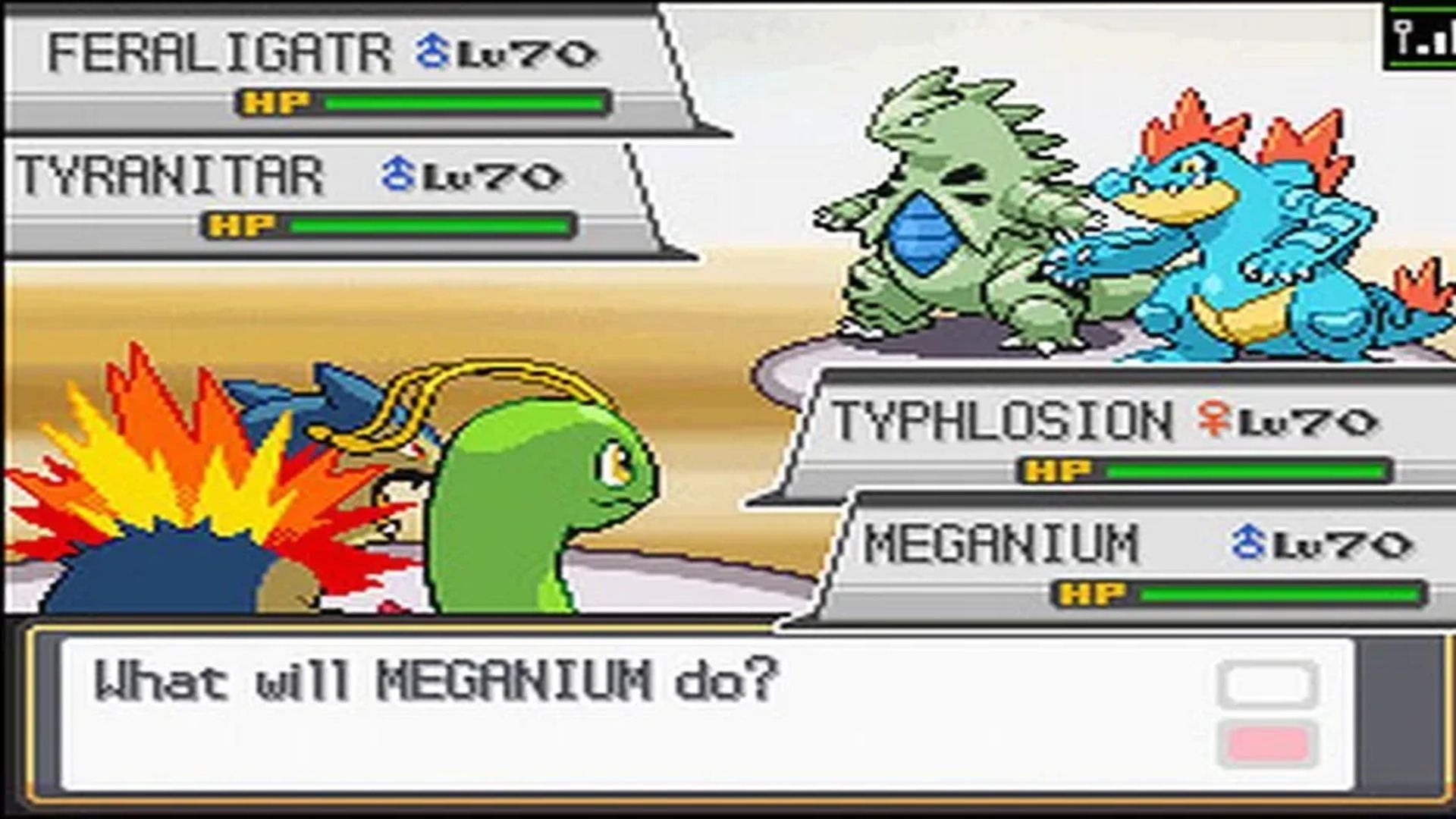 A screenshot of a battle in Pokemon HeartGold and SoulSilver