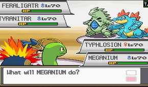 A screenshot of a battle in Pokemon HeartGold and SoulSilver