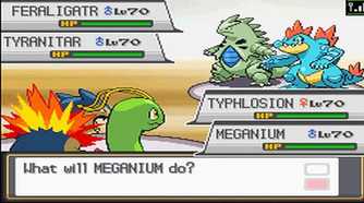 A screenshot of a battle in Pokemon HeartGold and SoulSilver
