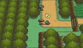 A screenshot of a player interacting with their Pokemon in Pokemon HeartGold and SoulSilver