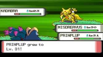 A screenshot of a dual battle in Pokémon Pearl