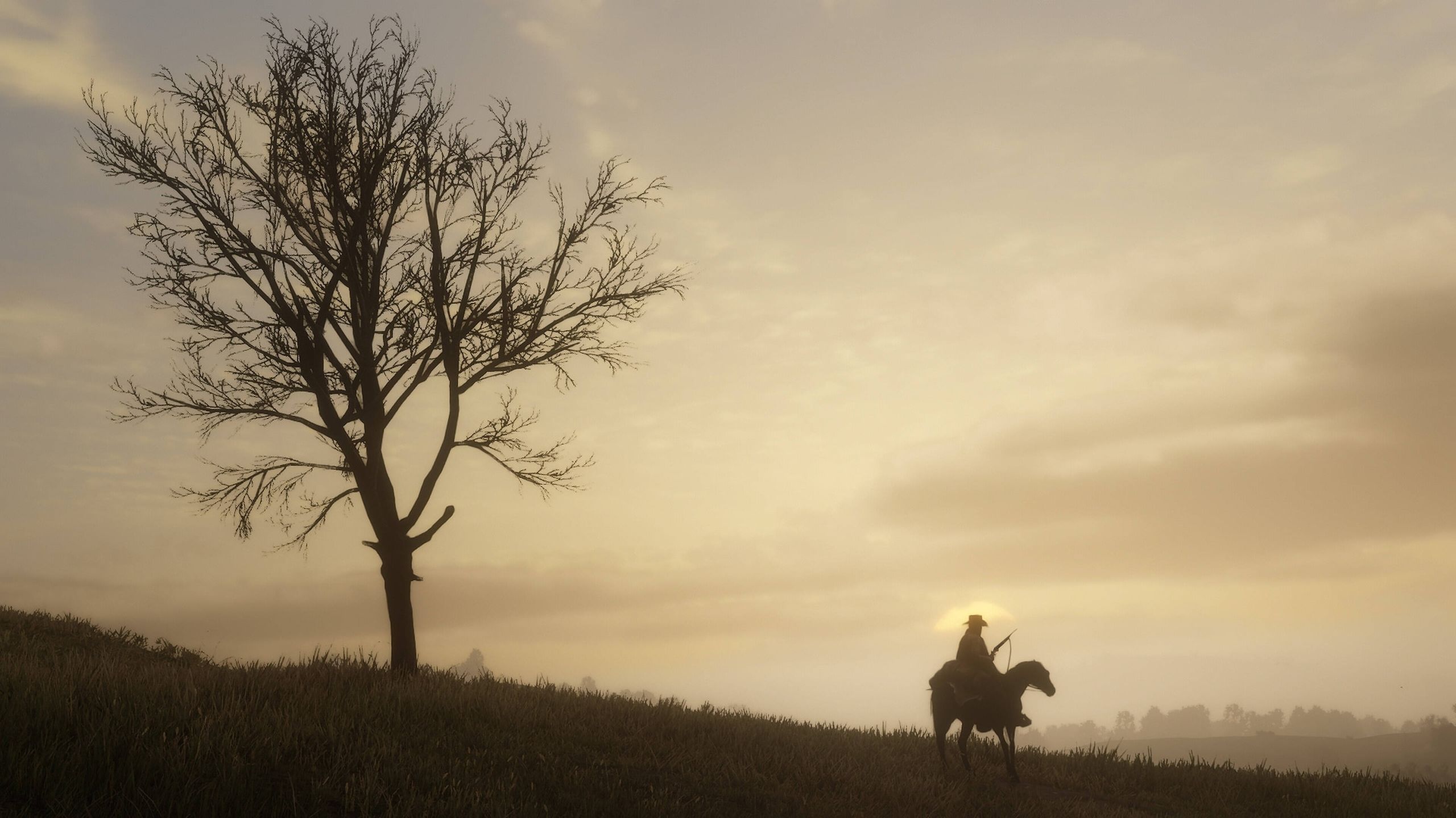 A screenshot from Red Dead Redemption 2.