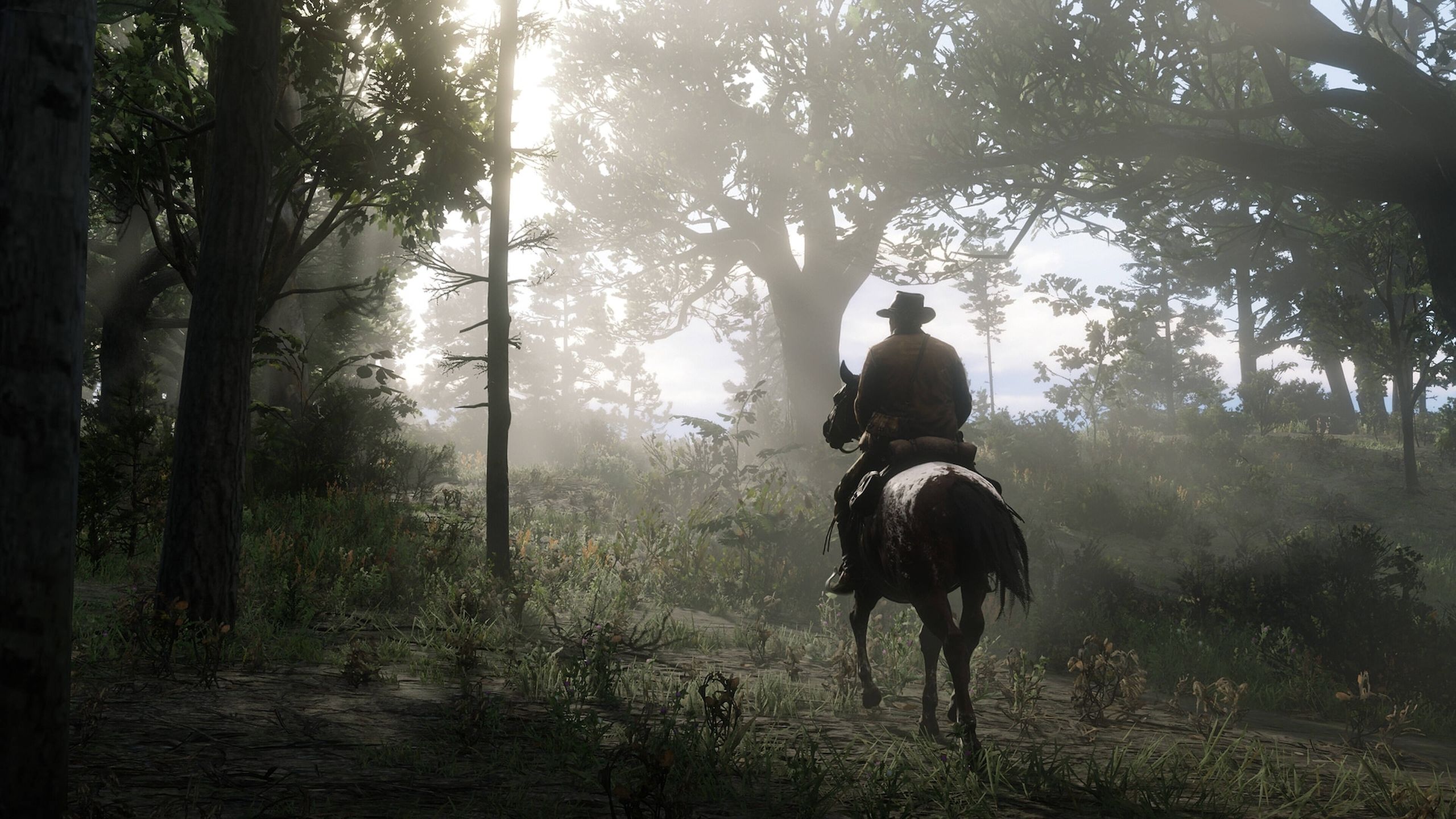 A screenshot from Red Dead Redemption 2.