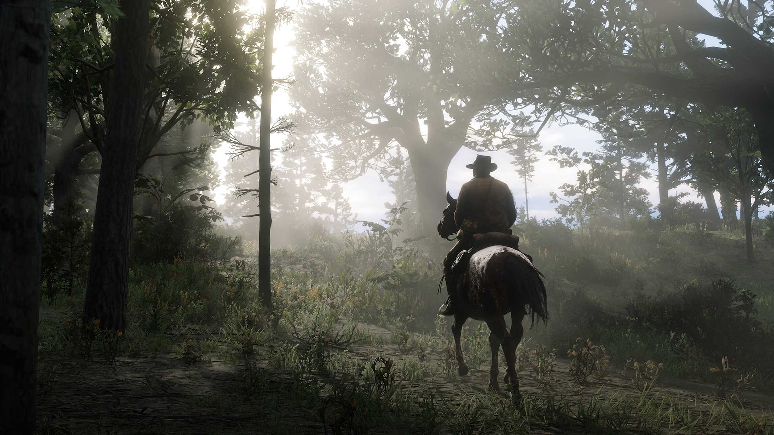 A screenshot from Red Dead Redemption 2.