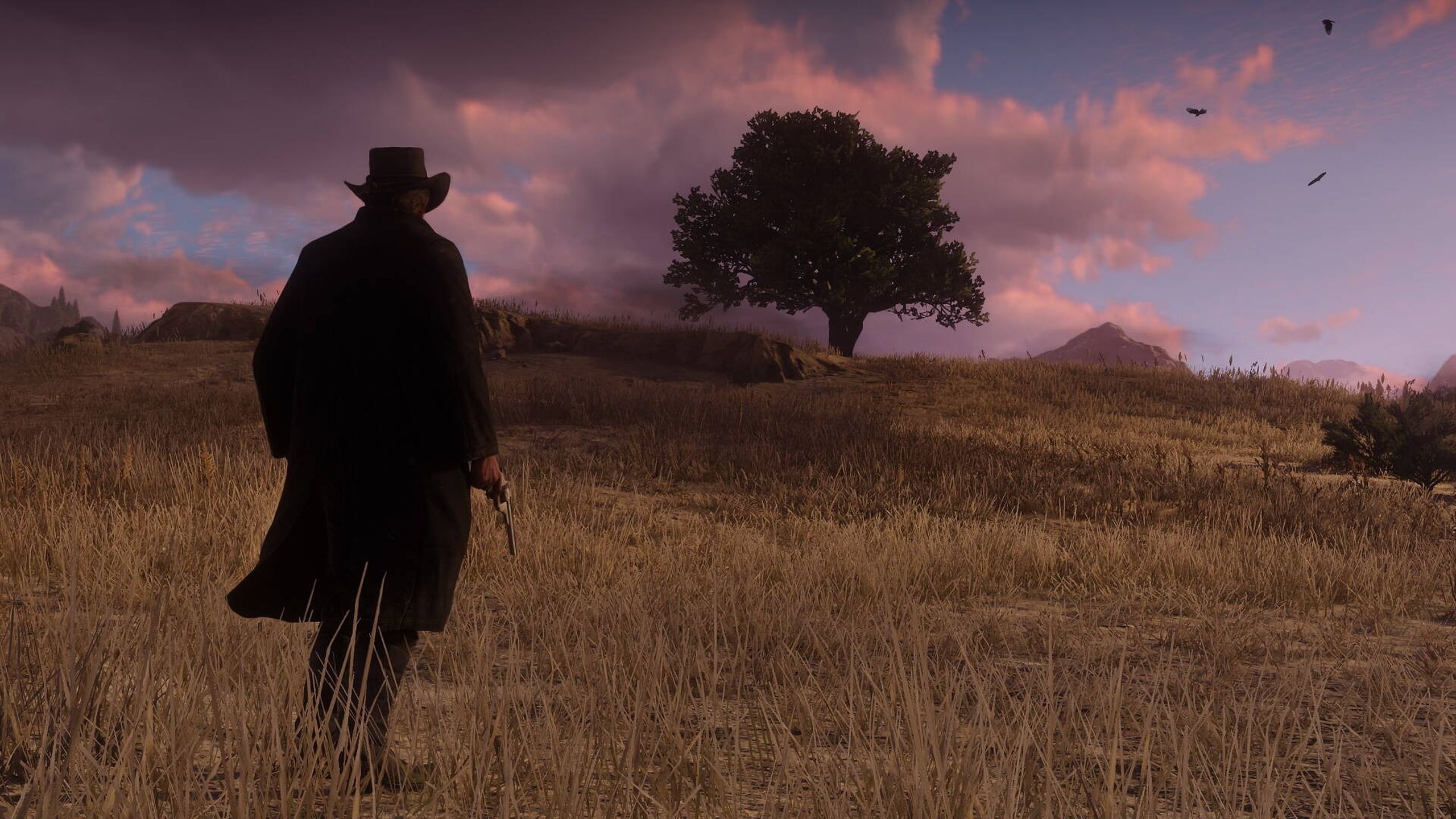 A screenshot from Red Dead Redemption 2.