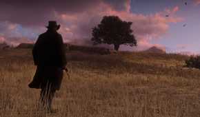 A screenshot from Red Dead Redemption 2.