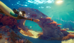 A player swimming through an arch in Subnautica 2