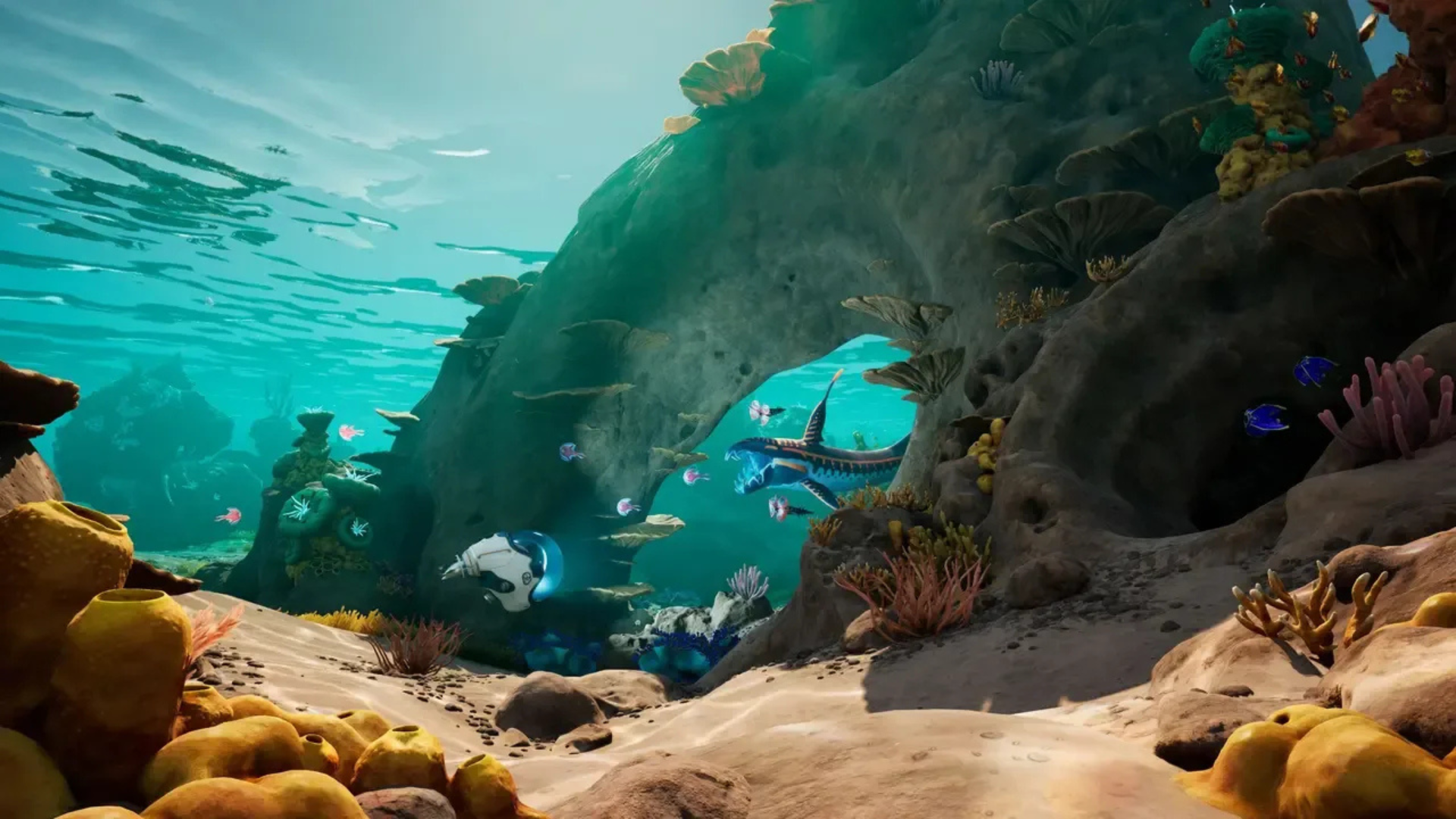 The shallows in Subnautica 2