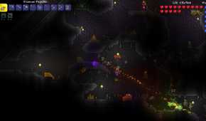 Screenshot from the game Terraria.